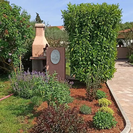 Апартаменты Olive