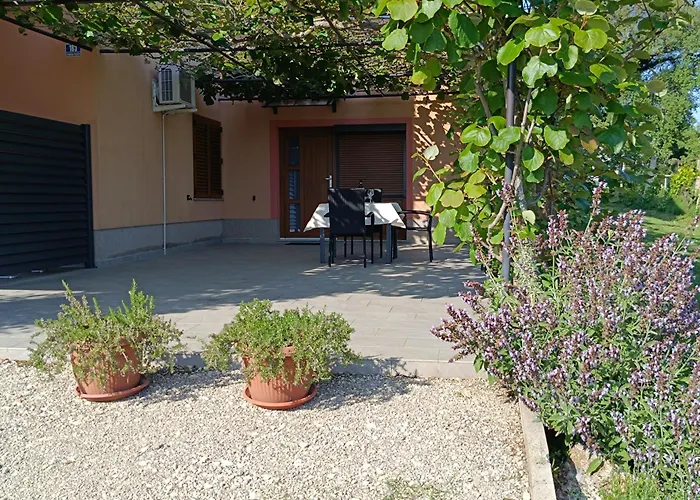 Apartment Olive Pula