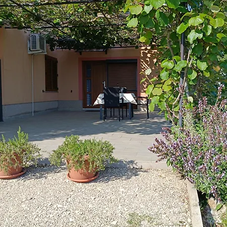 Appartamento Olive Pola